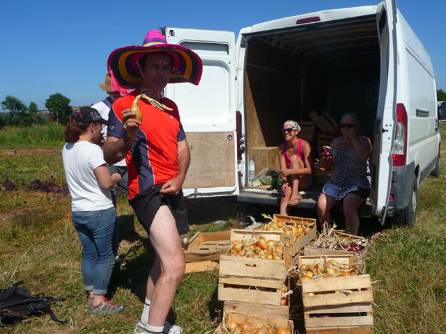 Chantier ptits legumes-03