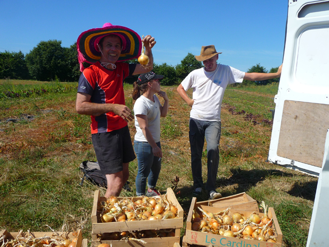 Chantier ptits legumes-04