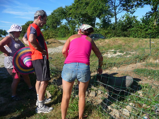 Chantier ptits legumes-05